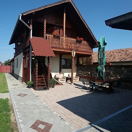 Pensiunea Denis Cartisoara Exterior photo