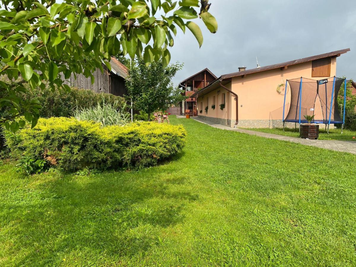 Pensiunea Denis Cartisoara Exterior photo